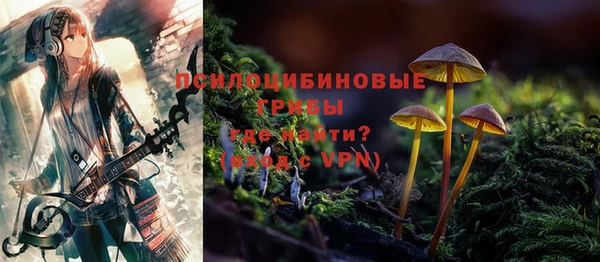 ешки Алзамай